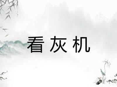 看灰机