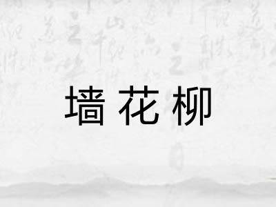 墙花柳 墙花柳