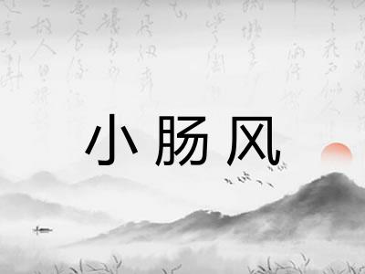 小肠风 小肠风