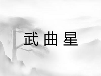 武曲星