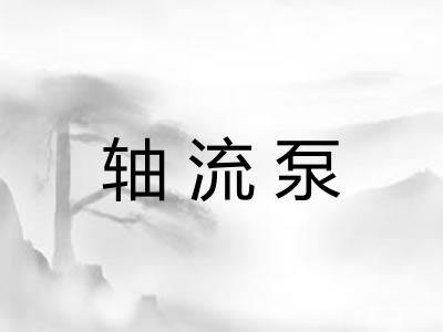 轴流泵