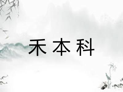 禾本科