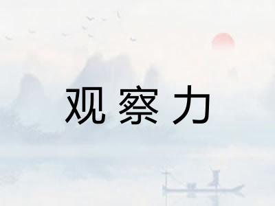 观察力 观察力