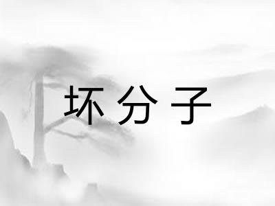 坏分子 坏分子