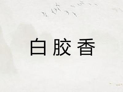 白胶香
