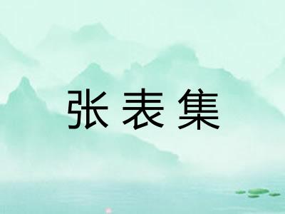 张表集