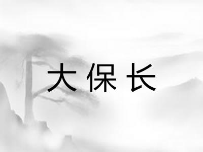大保长 大保长