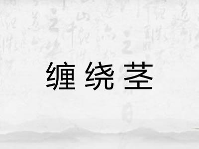 缠绕茎