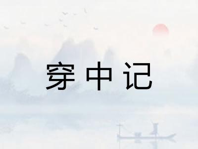 穿中记 穿中记