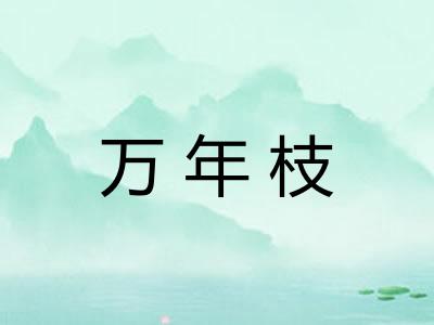 万年枝