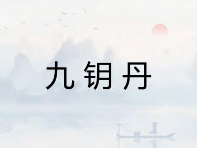 九钥丹