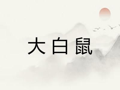 大白鼠 大白鼠