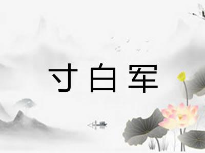 寸白军