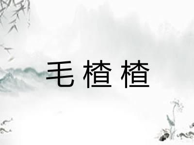 毛楂楂