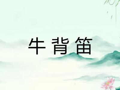 牛背笛