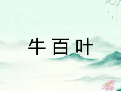 牛百叶
