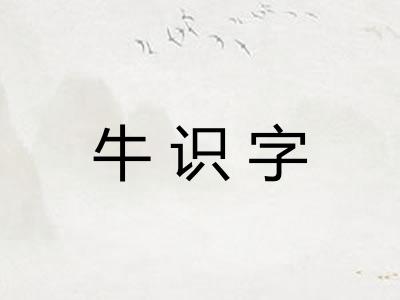 牛识字 牛识字