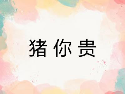 猪你贵