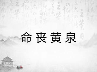命丧黄泉
