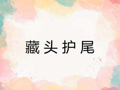 藏头护尾
