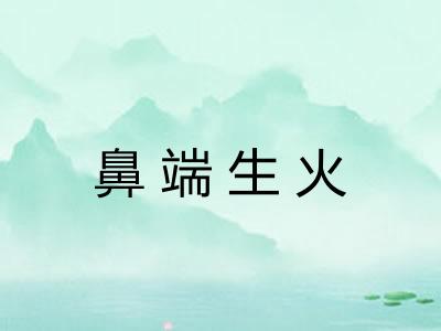 鼻端生火
