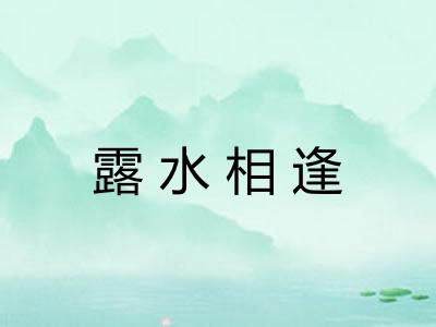 露水相逢