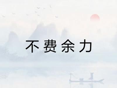 不费余力 不费余力