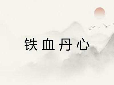 铁血丹心