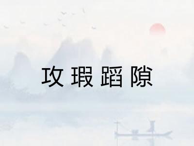 攻瑕蹈隙