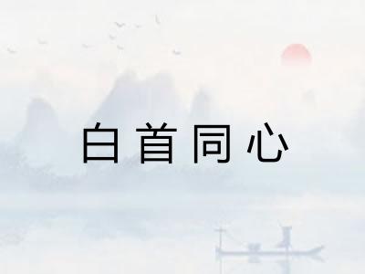 白首同心 白首同心