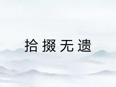 拾掇无遗