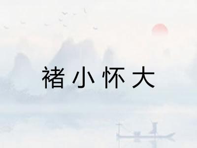 褚小怀大