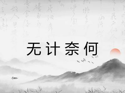 无计奈何