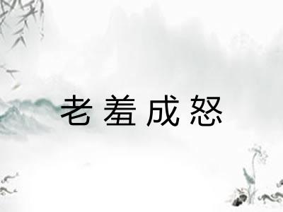 老羞成怒 老羞成怒