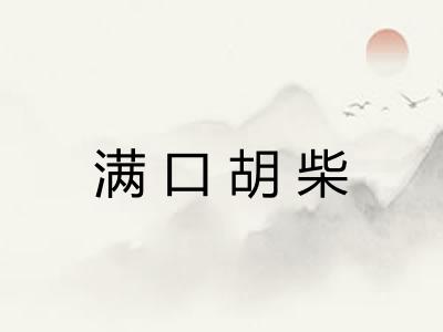 满口胡柴