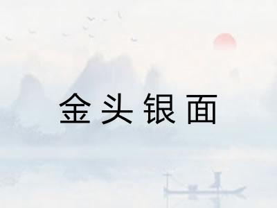 金头银面