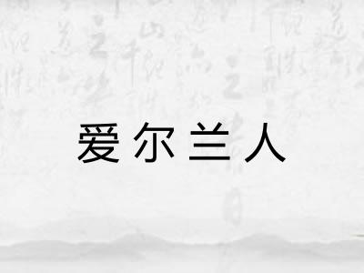 爱尔兰人
