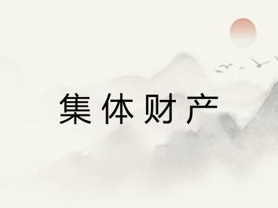 集体财产