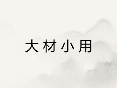大材小用