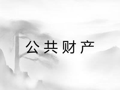 公共财产