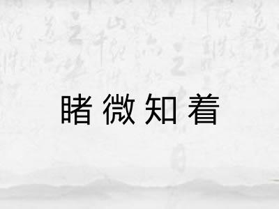 睹微知着