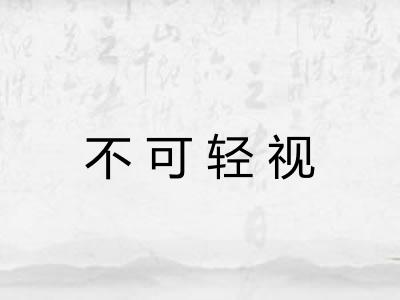 不可轻视 不可轻视