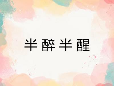 半醉半醒
