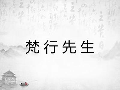 梵行先生 梵行先生