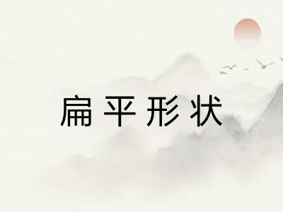 扁平形状