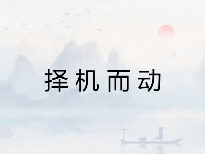 择机而动