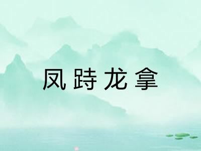 凤跱龙拿