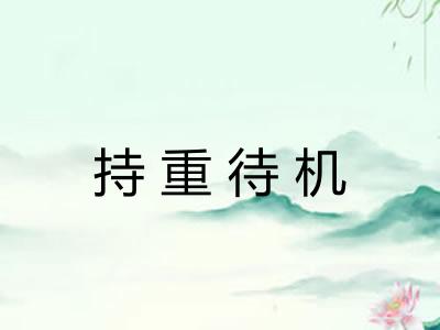 持重待机 持重待机