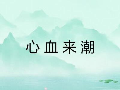 心血来潮