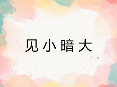 见小暗大